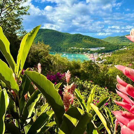 Au Jardin Des Colibris Ecolodge&Spa Deshaies Esterno foto