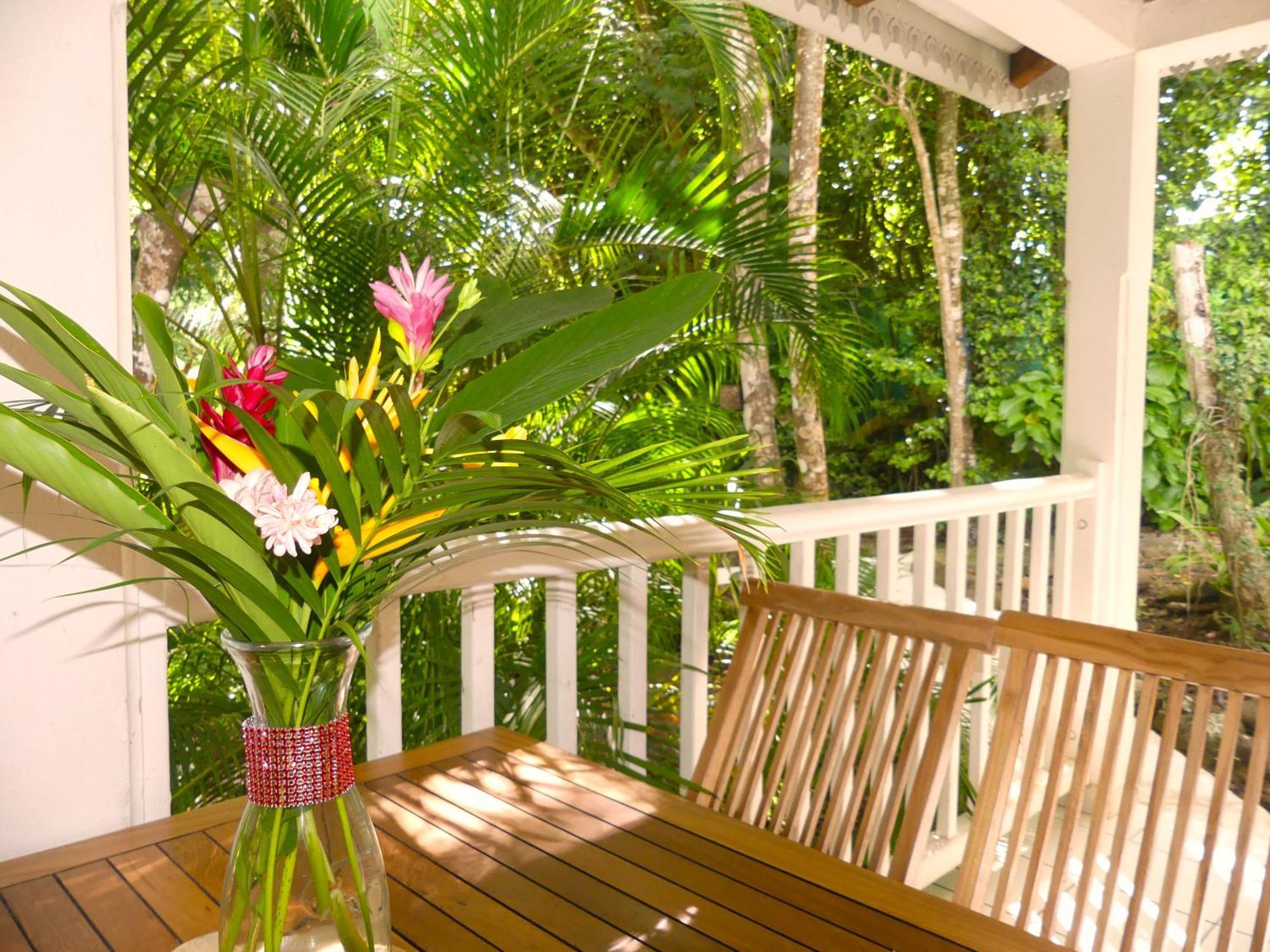 Au Jardin Des Colibris Ecolodge&Spa Deshaies Esterno foto