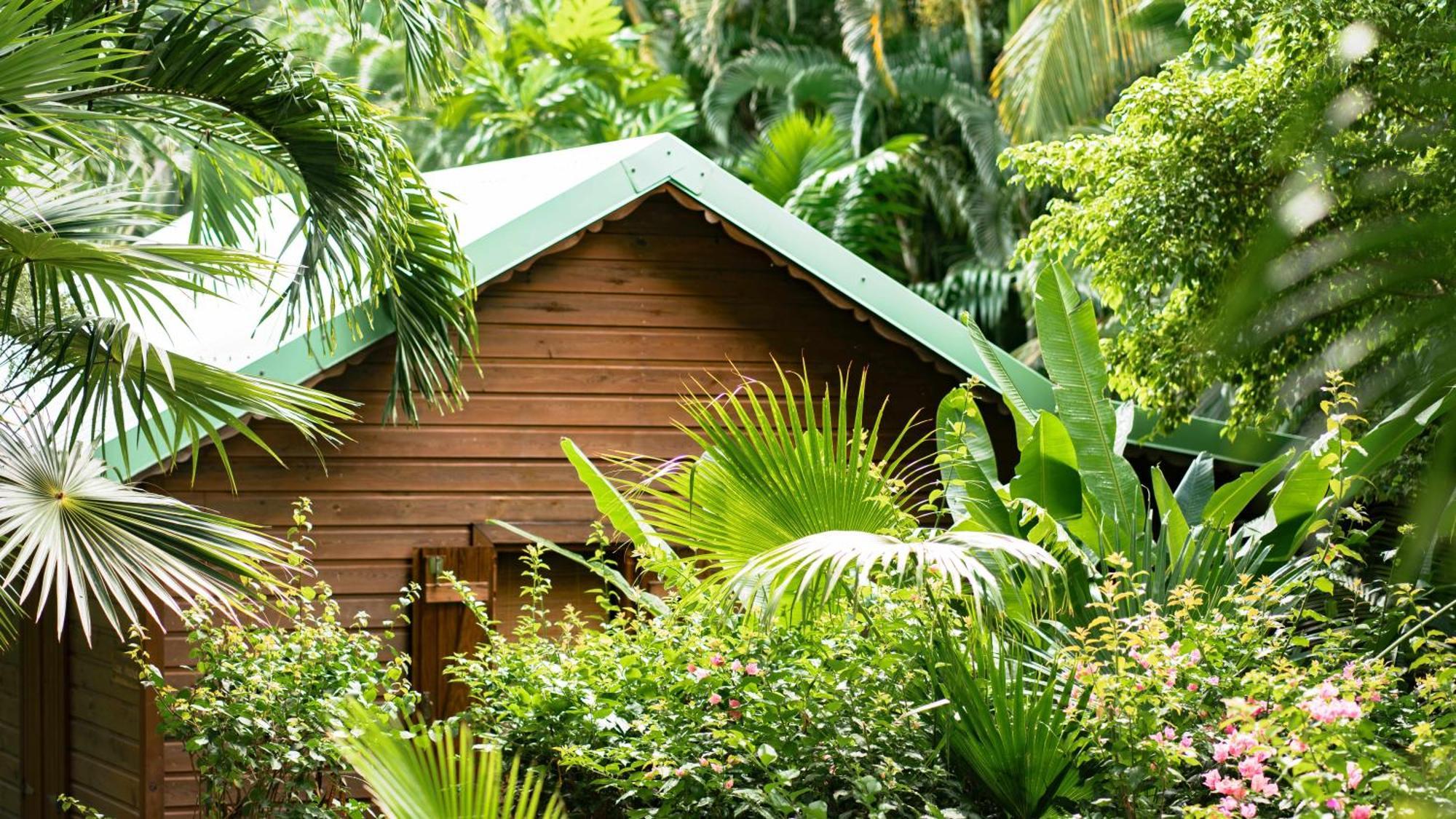 Au Jardin Des Colibris Ecolodge&Spa Deshaies Esterno foto