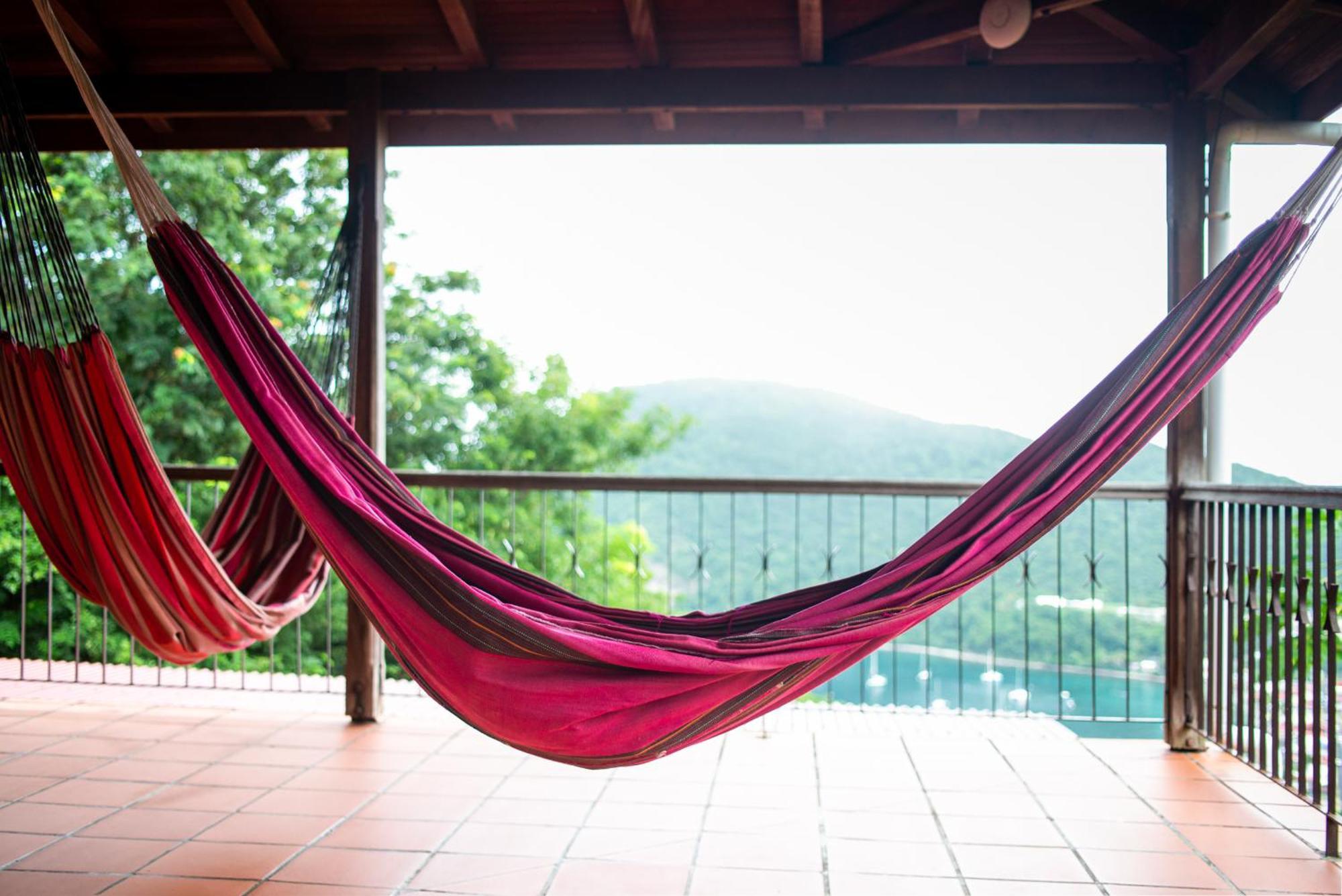 Au Jardin Des Colibris Ecolodge&Spa Deshaies Esterno foto