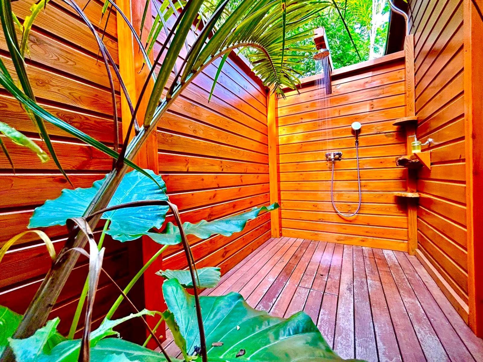 Au Jardin Des Colibris Ecolodge&Spa Deshaies Esterno foto