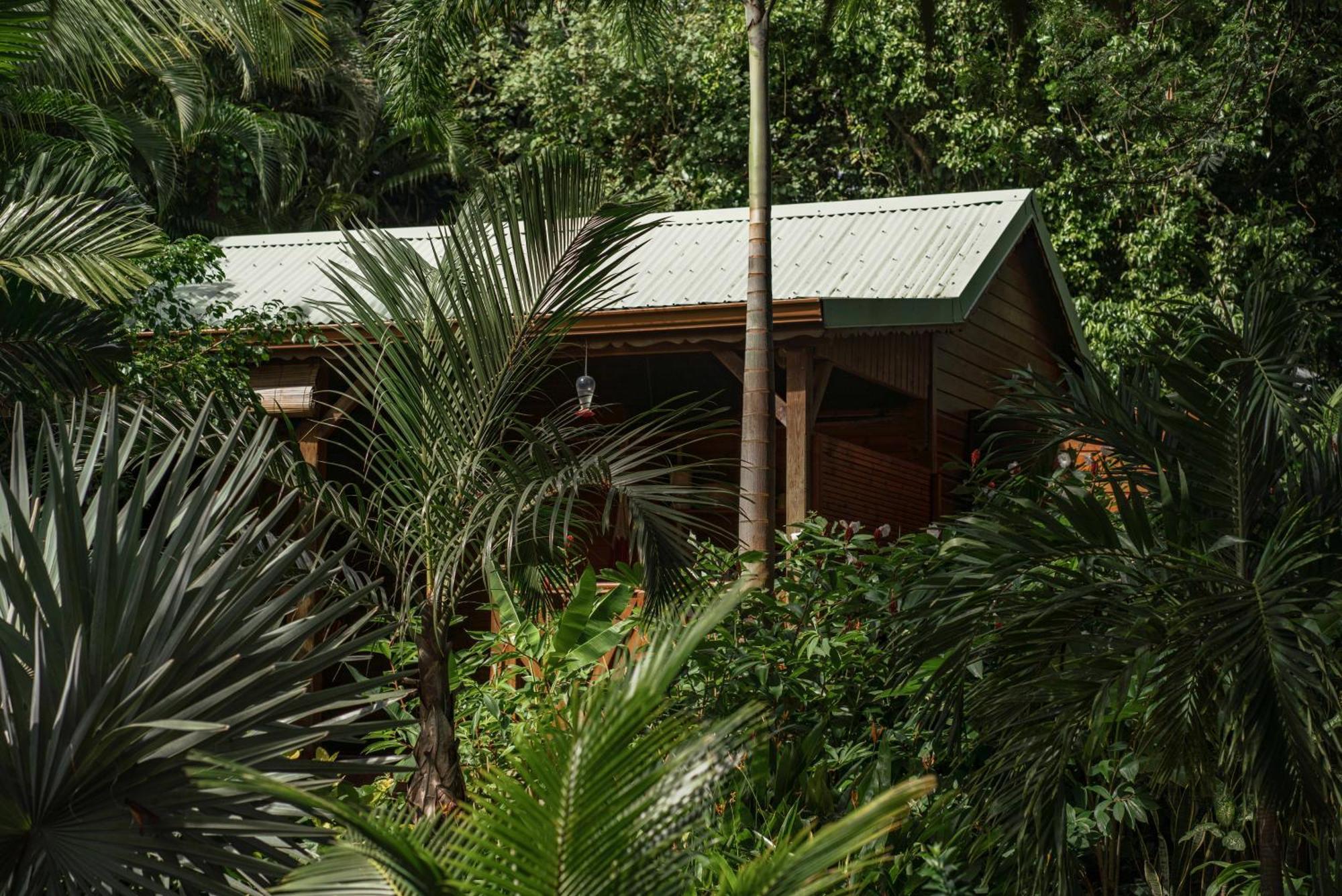 Au Jardin Des Colibris Ecolodge&Spa Deshaies Esterno foto