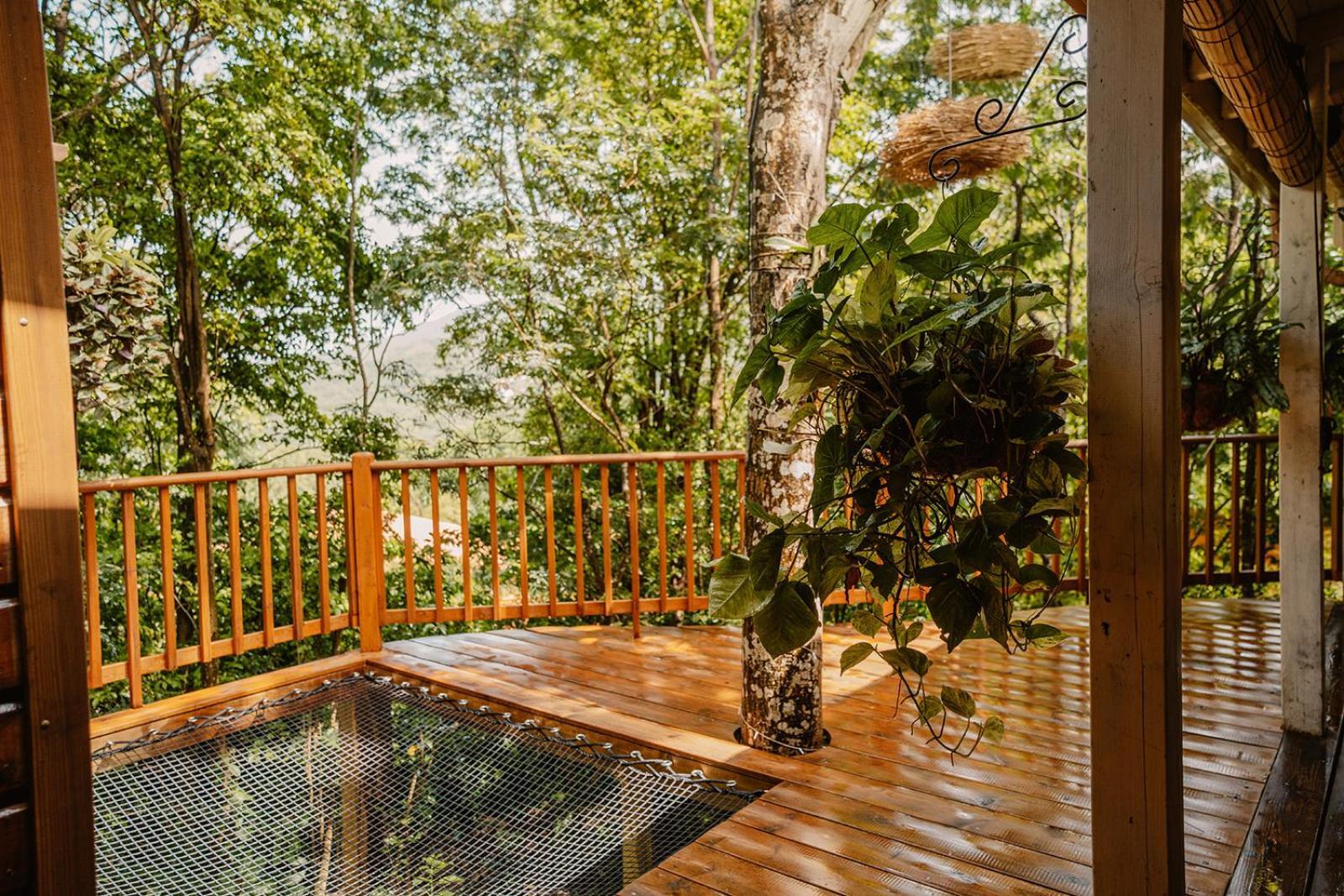 Au Jardin Des Colibris Ecolodge&Spa Deshaies Esterno foto