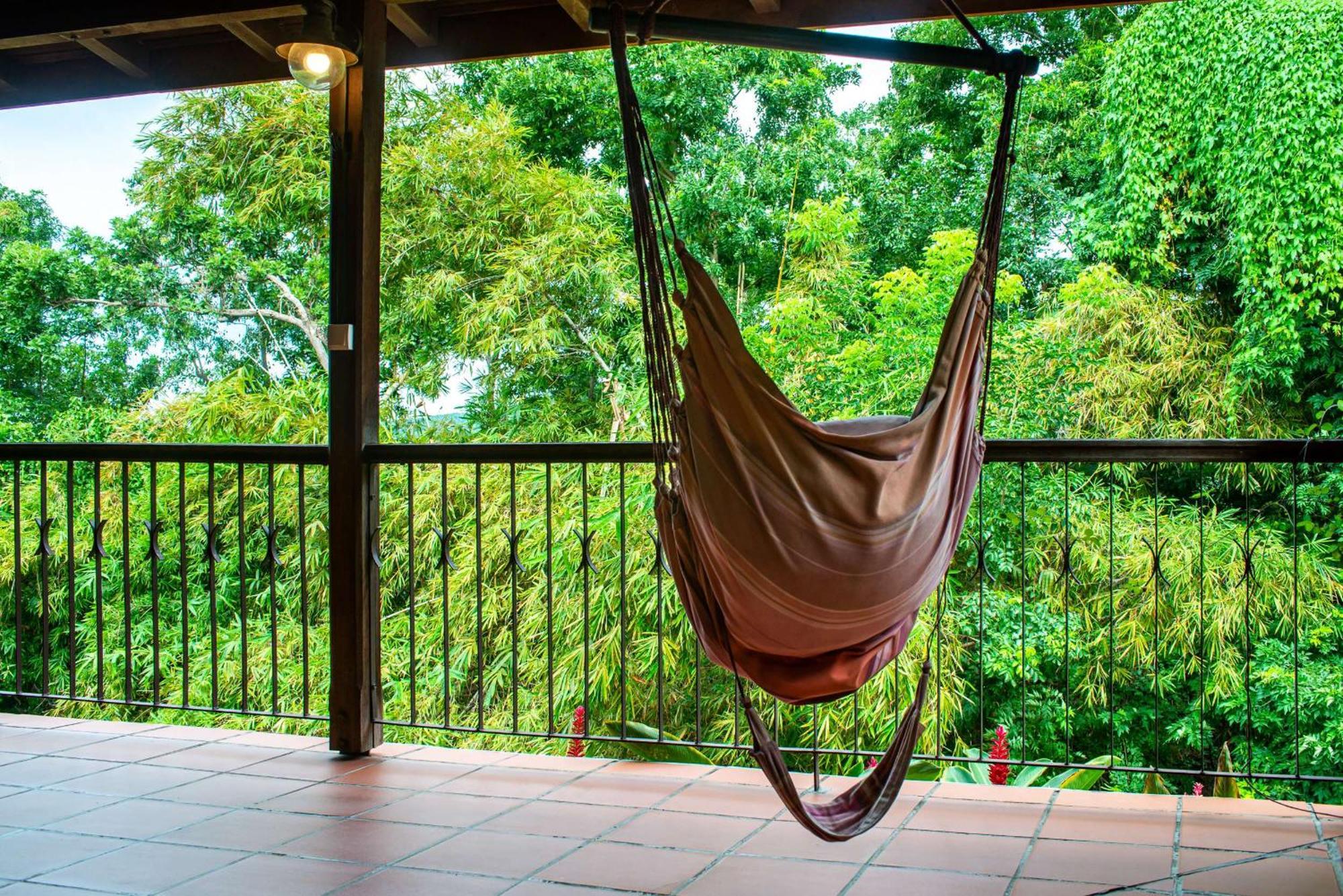 Au Jardin Des Colibris Ecolodge&Spa Deshaies Esterno foto