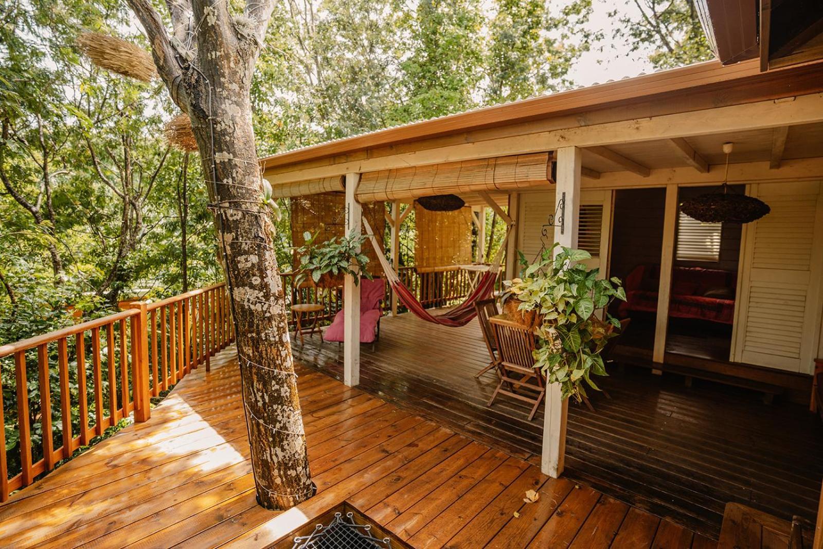 Au Jardin Des Colibris Ecolodge&Spa Deshaies Esterno foto