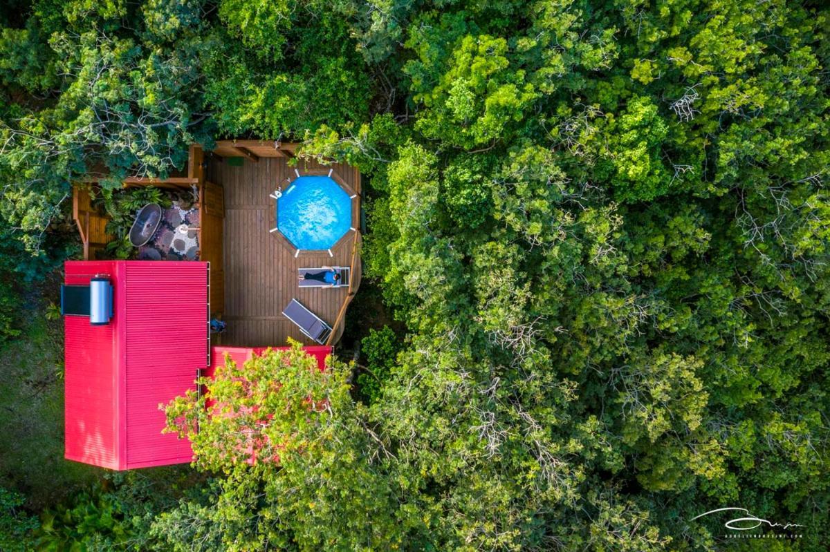 Au Jardin Des Colibris Ecolodge&Spa Deshaies Esterno foto