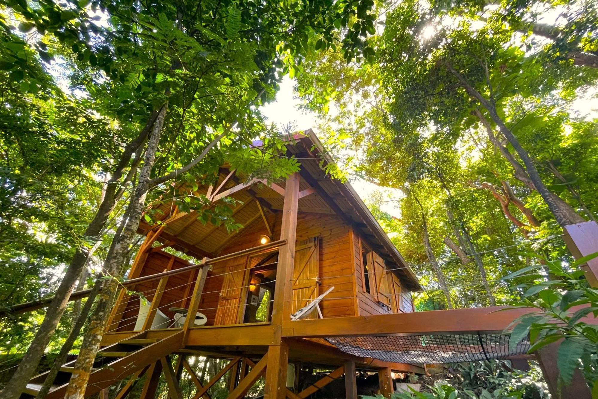 Au Jardin Des Colibris Ecolodge&Spa Deshaies Esterno foto