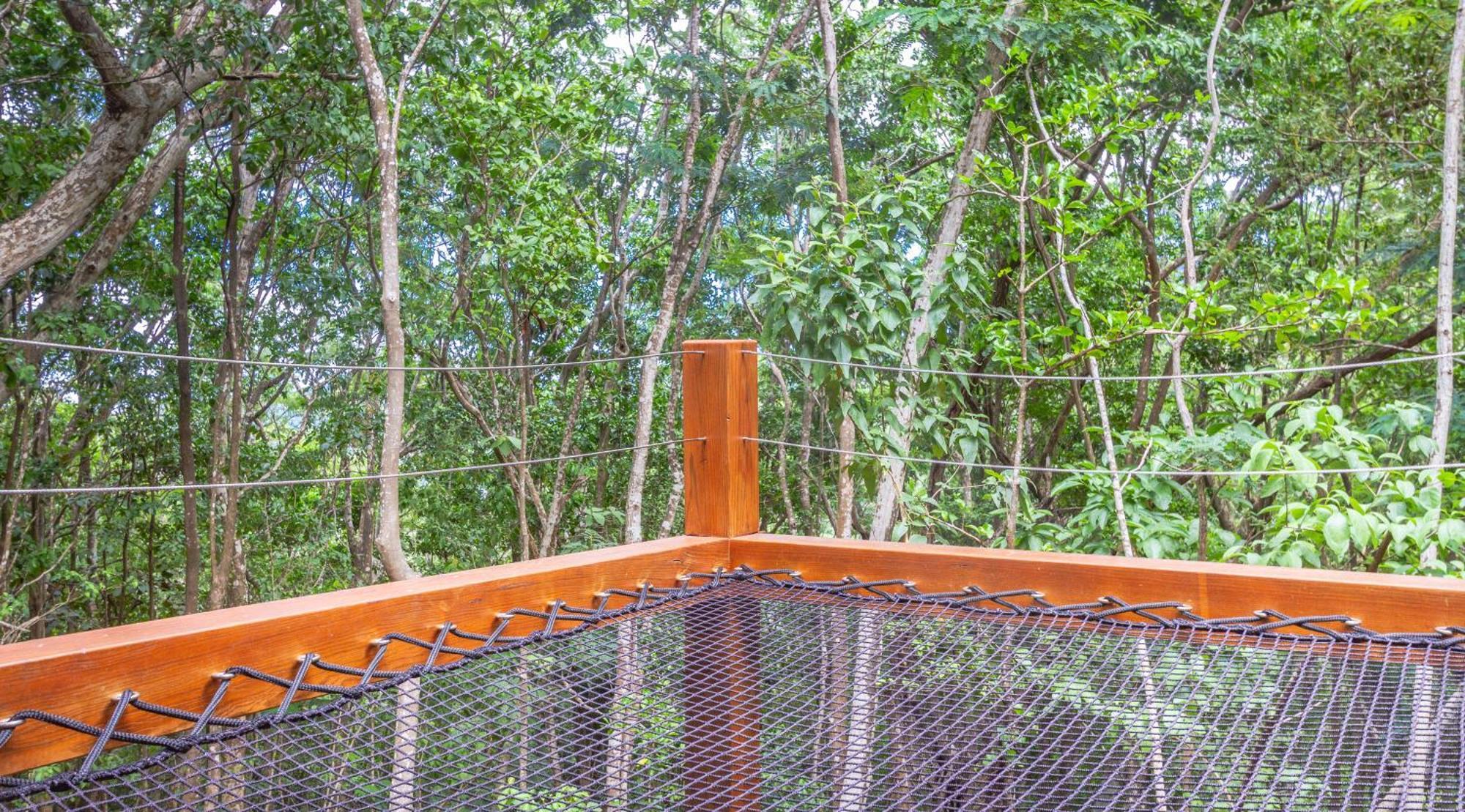 Au Jardin Des Colibris Ecolodge&Spa Deshaies Esterno foto